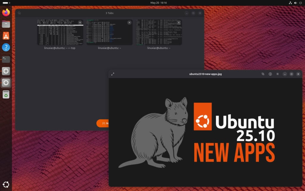 Ubuntu 25.10 (Questing Quokka) running Ptyxis terminal and Loupe image viewer.