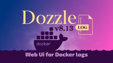 Dozzle 8.13 Real‑Time Docker Log Viewer Released
