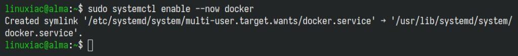 启动 Docker 并启用其 systemd 服务，以便它在启动时自动启动。