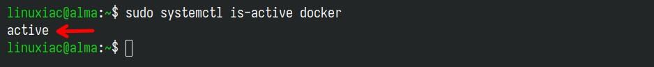 确认 Docker 已启动。
