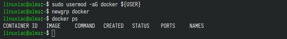 以普通用户身份运行 docker 命令。