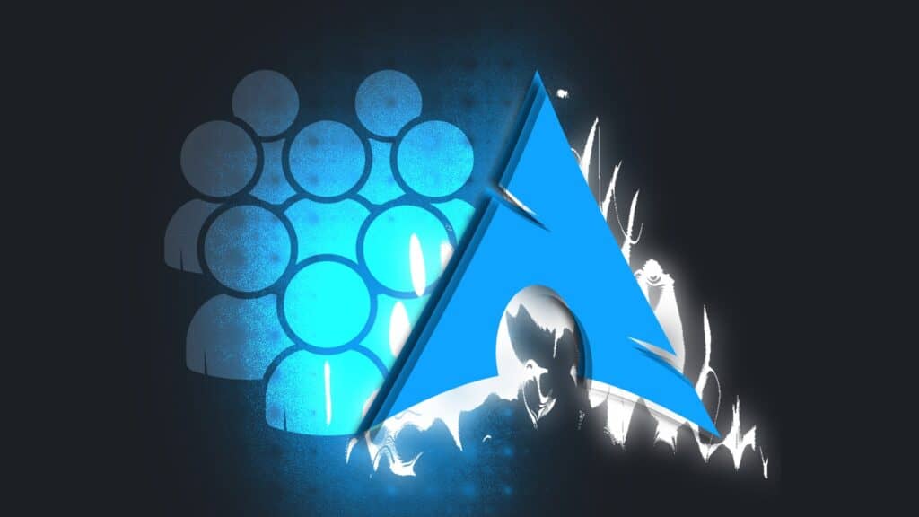 Insights Into Arch Linux Users' Preferences