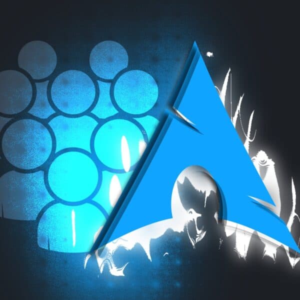 Insights Into Arch Linux Users' Preferences