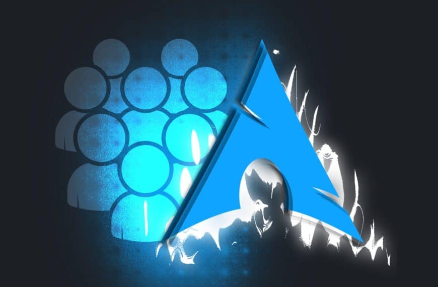 Insights Into Arch Linux Users' Preferences