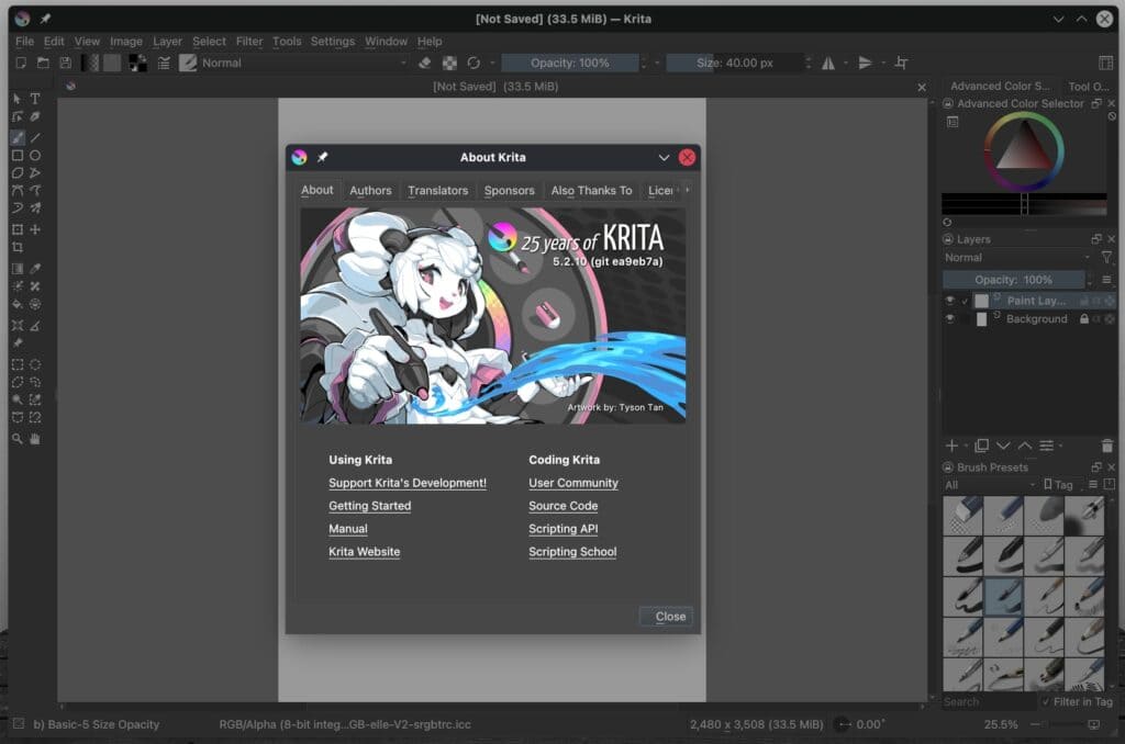 Krita 5.2.10 digital painting app.