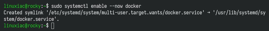 Start Docker and enable its systemd service so it starts automatically at boot.