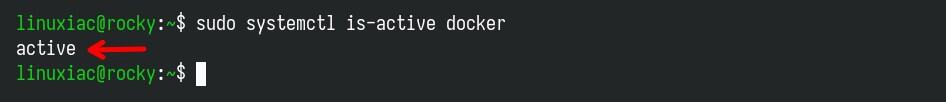 Confirmation that Docker has started.