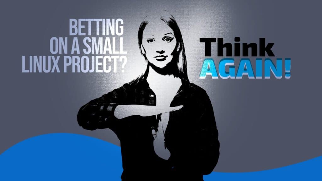 When Passion Isn’t Enough: Small Linux Projects, Big Problems