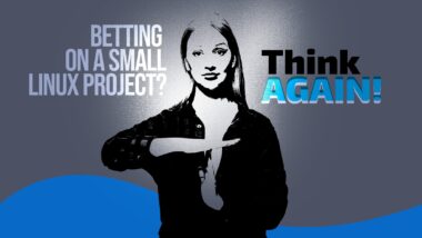 When Passion Isn’t Enough: Small Linux Projects, Big Problems