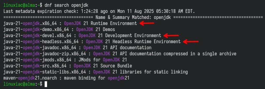 OpenJDK package provided by AlmaLinux 10.