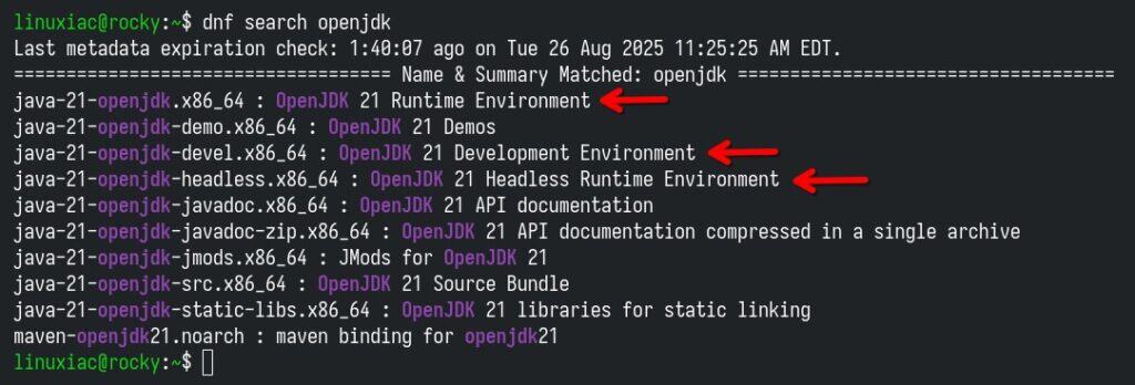 OpenJDK package provided by Rocky Linux 10.