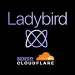 Ladybird Browser Gains Cloudflare Support to Challenge the Status Quo