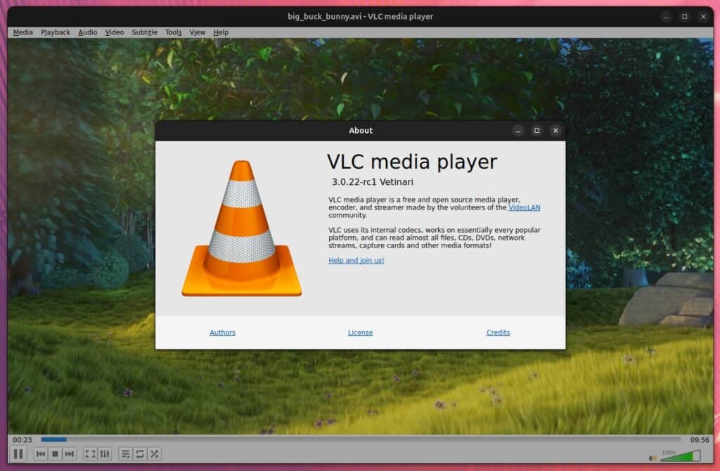 VLC 3.0.22 RC1 Media Player
