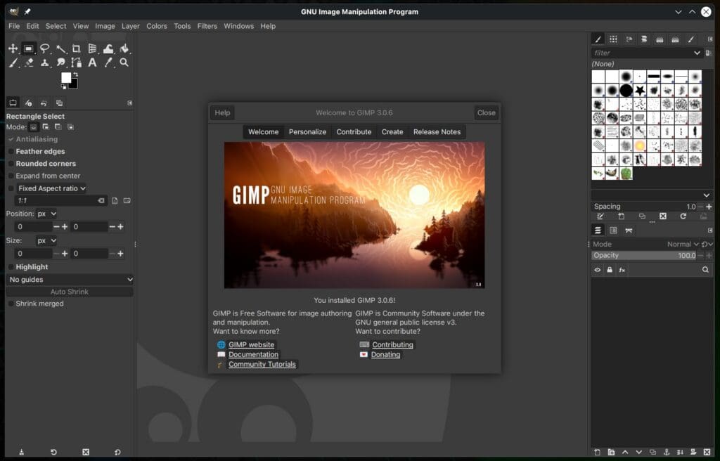 GIMP 3.0.6 Image Editor