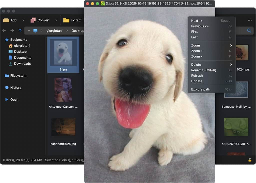 PeaZip 10.7 open-source file archiver.