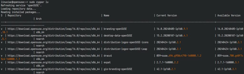 Check available package updates.