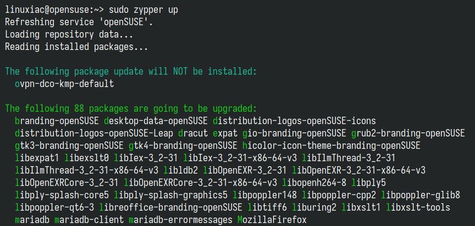 Apply package updates.