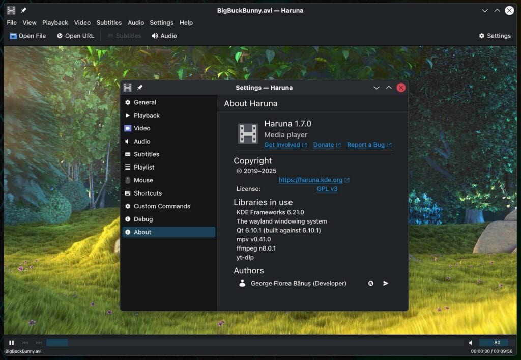 Haruna 1.7 Media Player