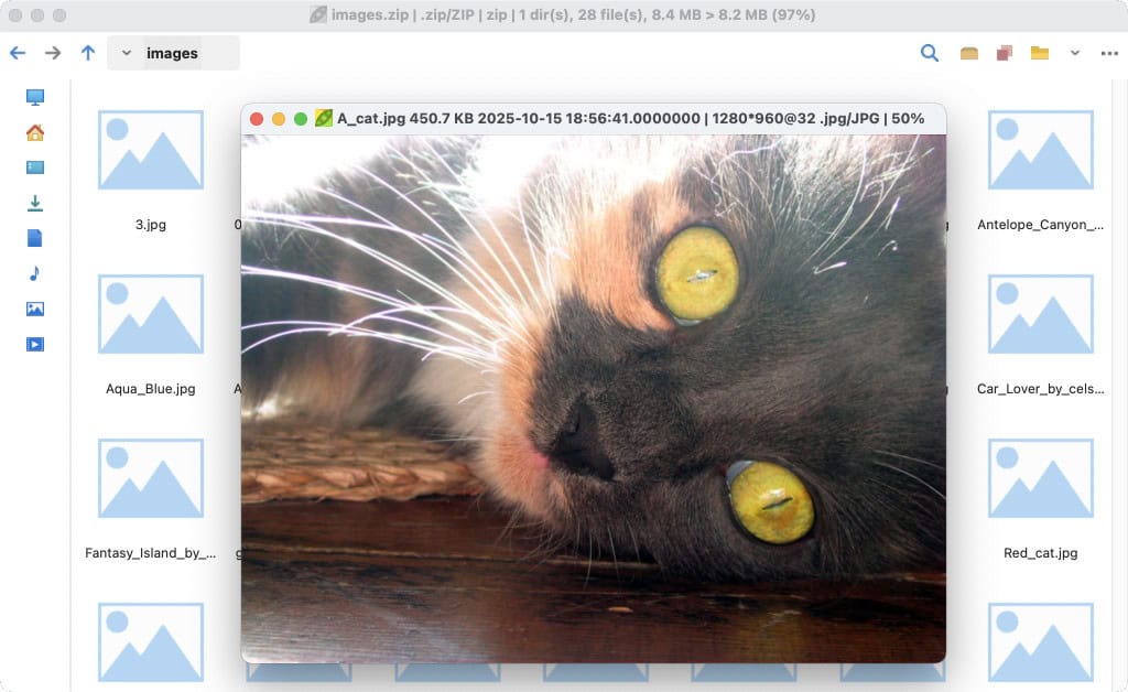 PeaZip 10.8 open-source file archiver.