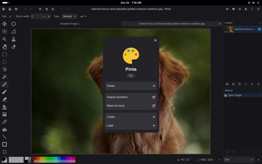 Pinta 3.1 open-source image drawing/editing app.