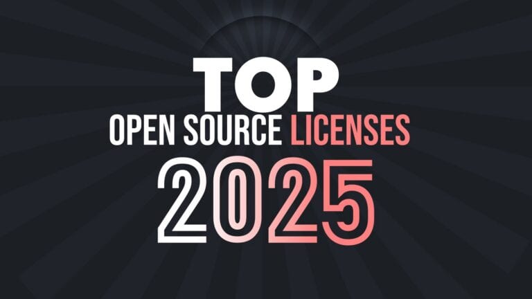 MIT and Apache 2.0 Lead Open Source Licensing in 2025
