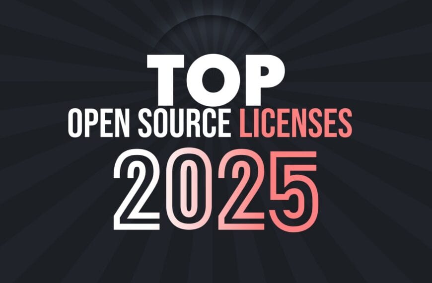 MIT and Apache 2.0 Lead Open Source Licensing in 2025