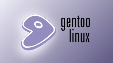 Gentoo’s 2025 Report: Financial Health and the Push Away From GitHub
