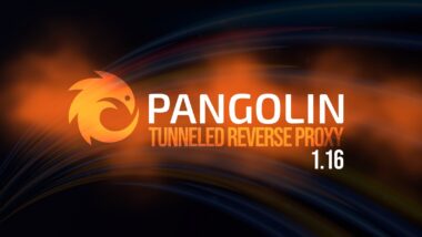 Pangolin 1.16 Tunneled Reverse Proxy Adds SSH Auth Daemon