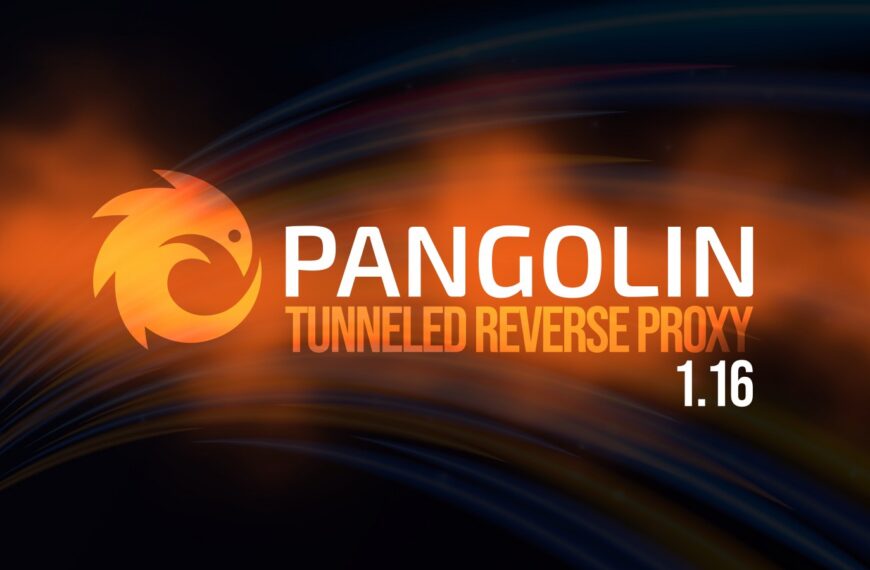 Pangolin 1.16 Tunneled Reverse Proxy Adds SSH Auth Daemon
