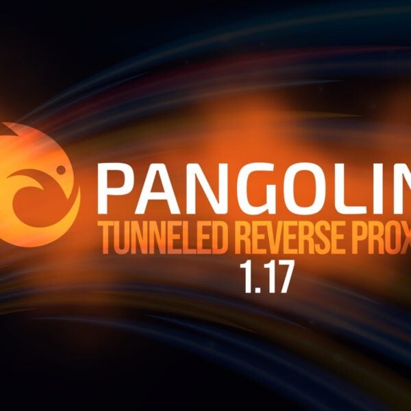 Pangolin 1.17 Tunneled Reverse Proxy Adds Multiple Roles per User