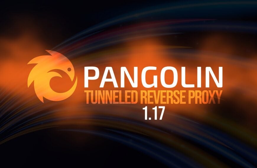 Pangolin 1.17 Tunneled Reverse Proxy Adds Multiple Roles per User
