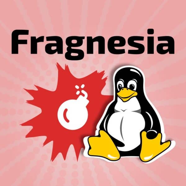 Fragnesia Is Yet Another Dirty Frag Style Linux Kernel Exploit
