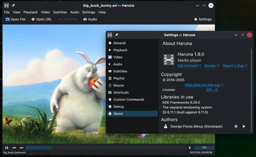 Haruna 1.8 Media Player