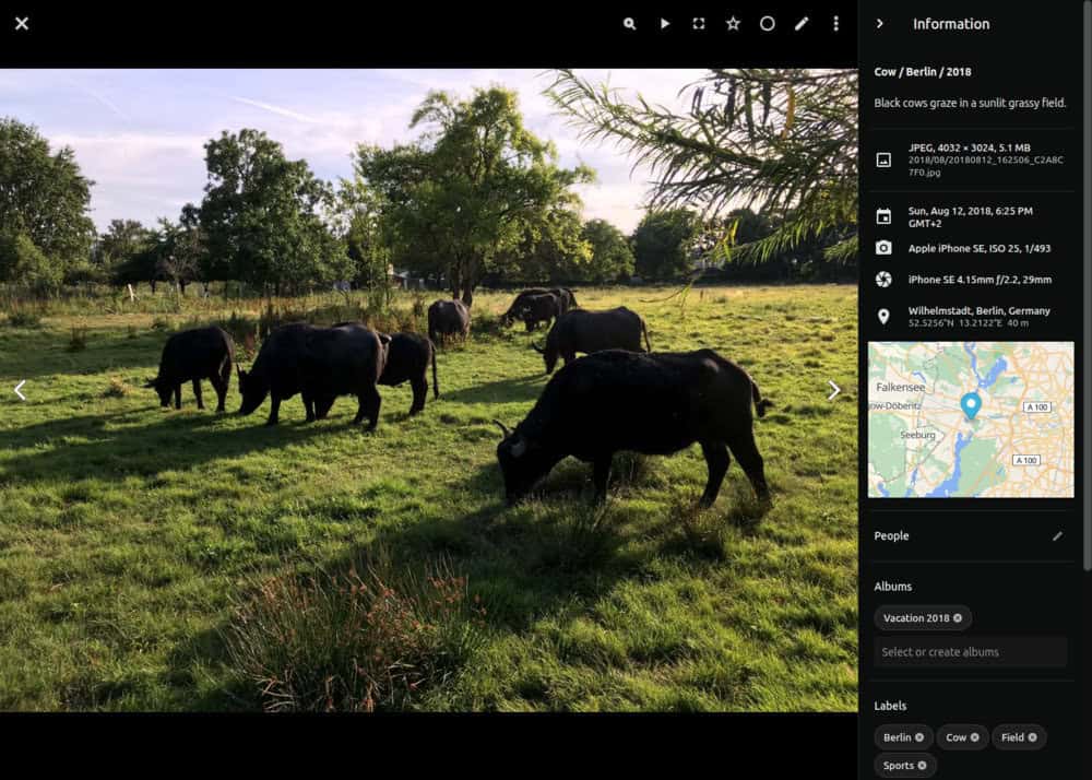 PhotoPrism now allows editing a metadata field by clicking on it.