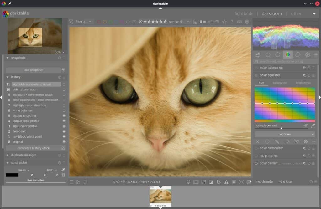 Darktable 5.6 Open Source RAW Editor