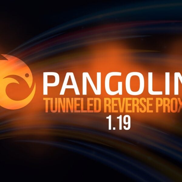 Pangolin 1.19 Tunneled Reverse Proxy Lands With Built-In Browser Remote Access