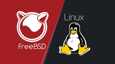 Experimental BSDun Kernel Module Runs FreeBSD Binaries on Linux