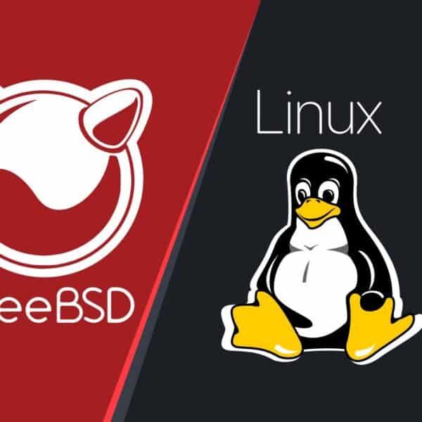Experimental BSDun Kernel Module Runs FreeBSD Binaries on Linux