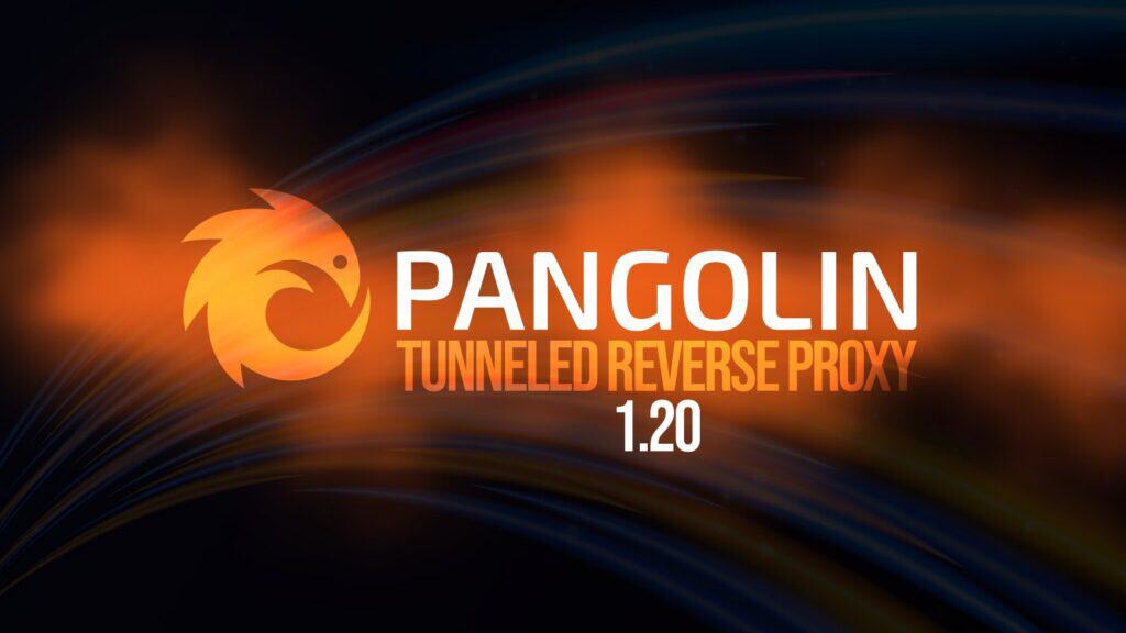 Pangolin 1.20 Tunneled Reverse Proxy Adds New Resource Launcher