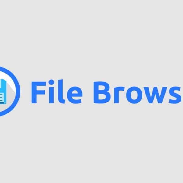 Popular Self-Hosted File Manager File Browser Is Shutting Down