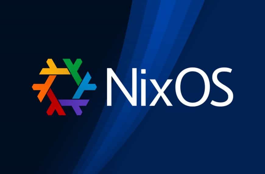Nixpkgs Core Team Dissolves, Leaving Governance Duties Without a Direct Owner