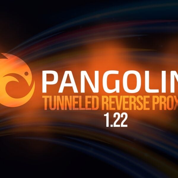 Pangolin 1.22 Tunneled Reverse Proxy Adds AI Gateway