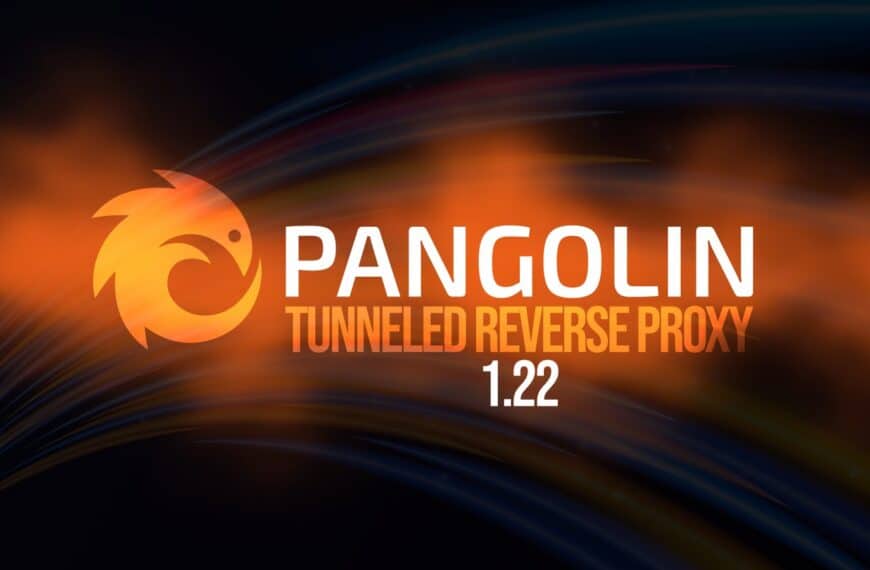 Pangolin 1.22 Tunneled Reverse Proxy Adds AI Gateway