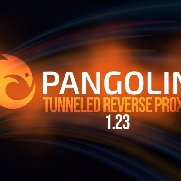 Pangolin 1.23 Tunneled Reverse Proxy Makes High Availability Easier to Deploy