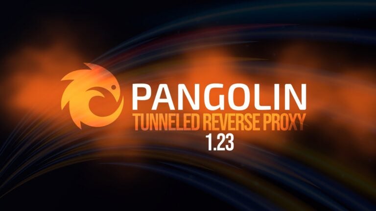 Pangolin 1.23 Tunneled Reverse Proxy Makes High Availability Easier to Deploy