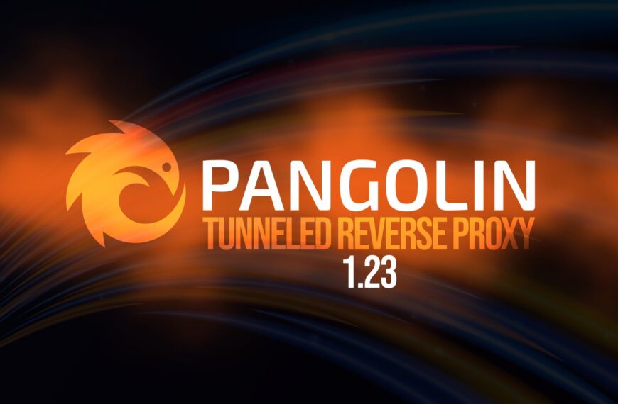 Pangolin 1.23 Tunneled Reverse Proxy Makes High Availability Easier to Deploy