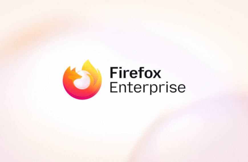 Mozilla Launches Firefox Enterprise for Business and Government Users