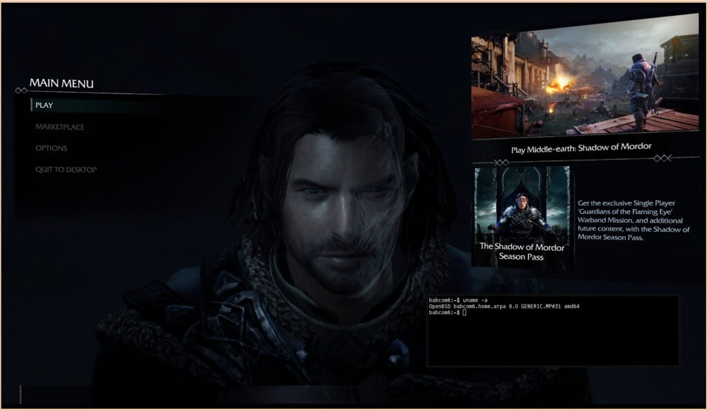 The Witcher 3 Running via Wine on OpenBSD