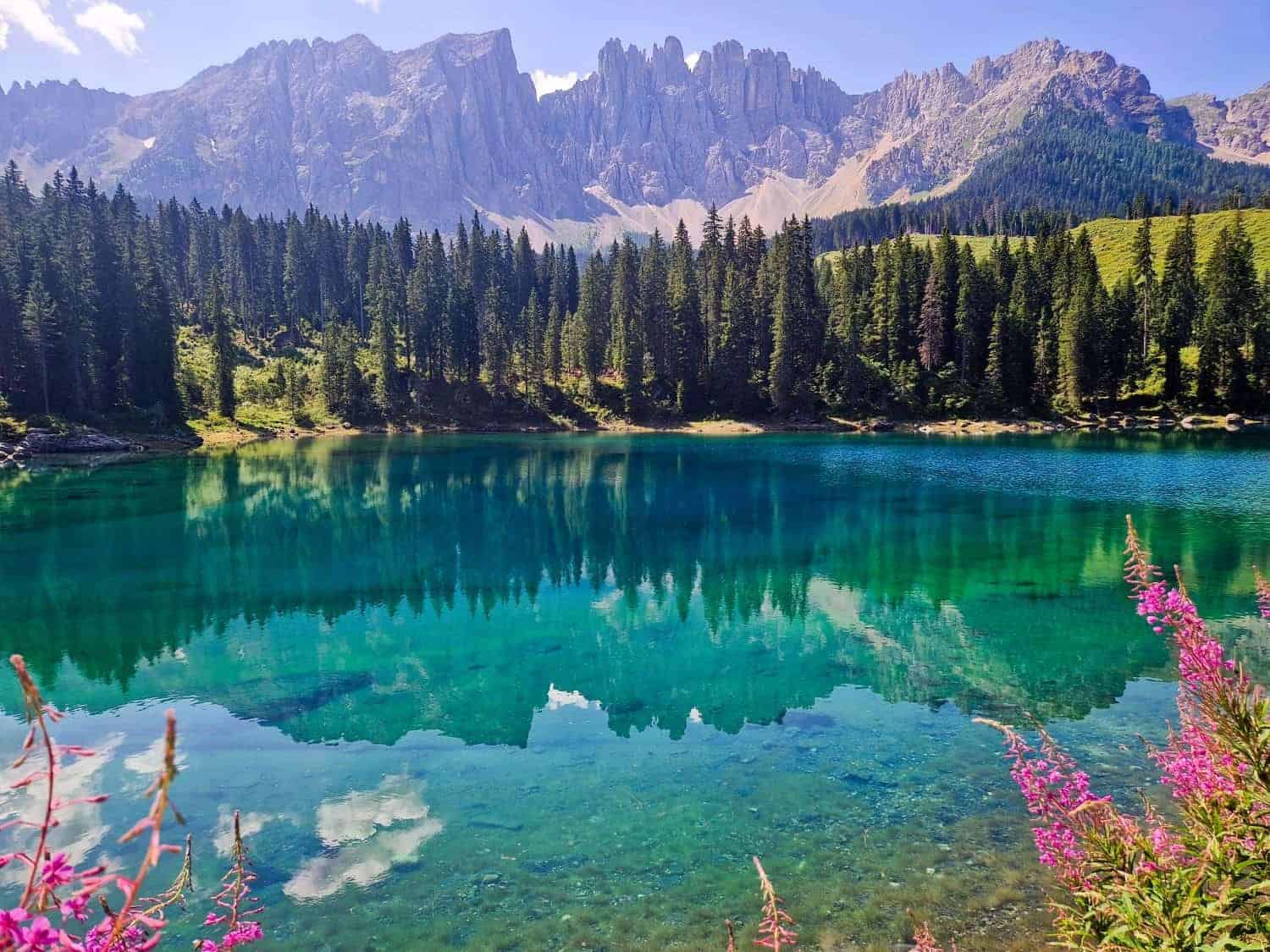 Crystal-clear turquoise lake surrounded by lush evergreen trees with majestic mountains in the backdrop under a clear blue sky. Pink flowers frame the foreground, adding vibrant color to the picturesque landscape.