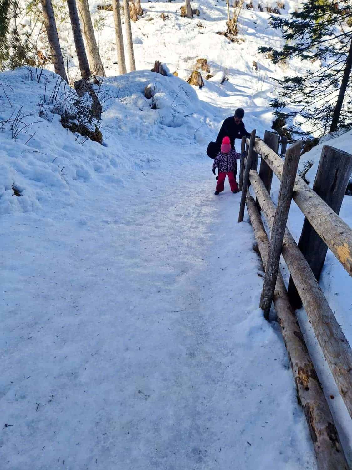 An adult and a child in winter clothing walk up a snowy path lined with a wooden fence, surrounded by snow-covered trees and ground.